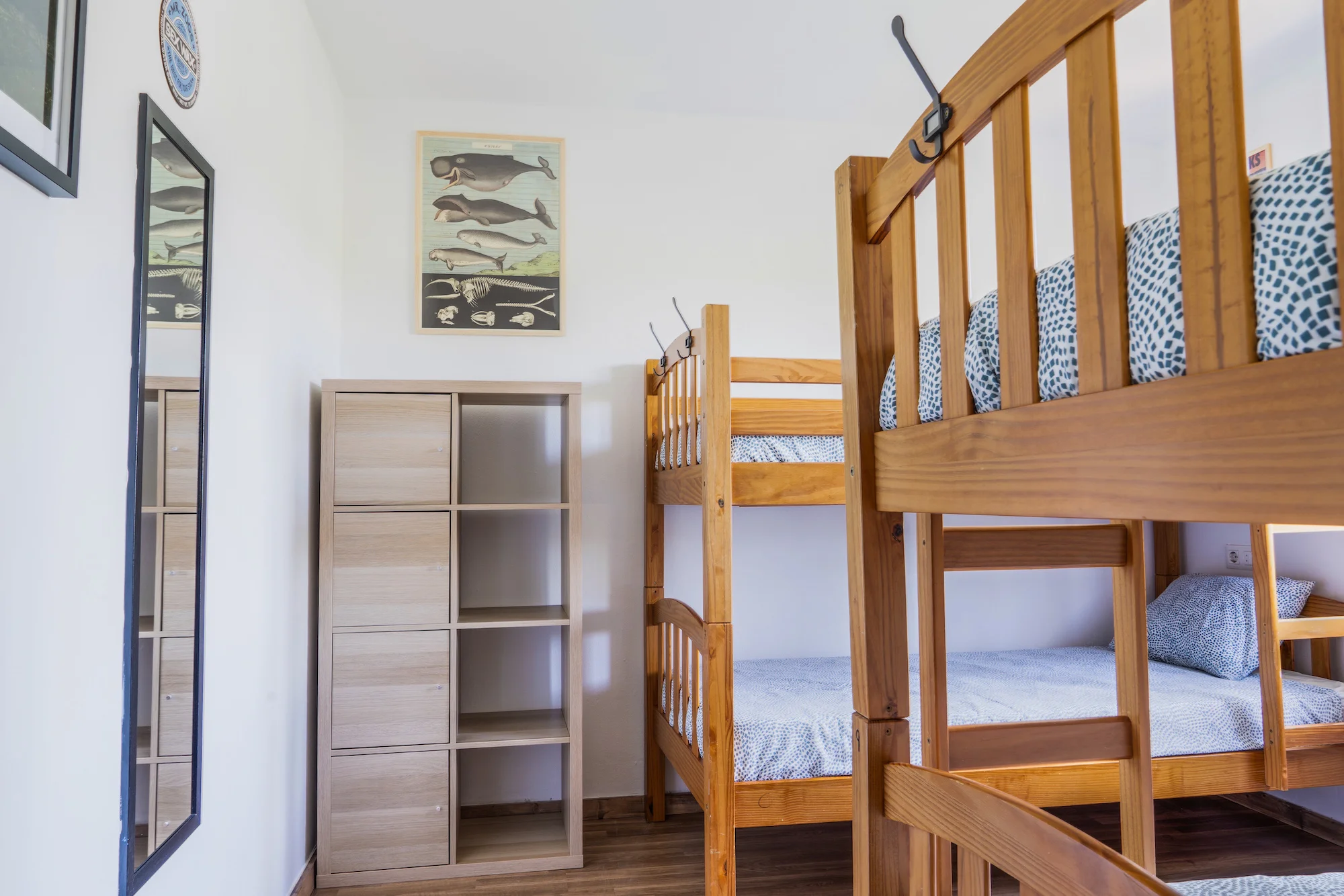 habitación seronda